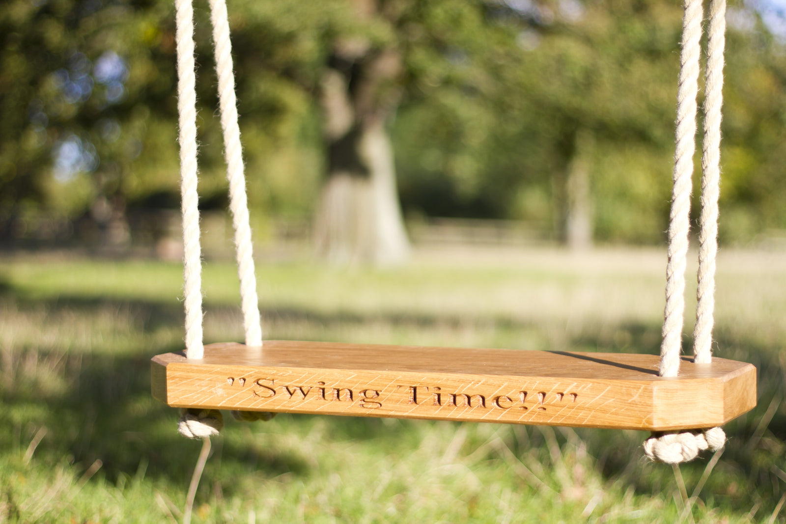 Oak Tree Swings