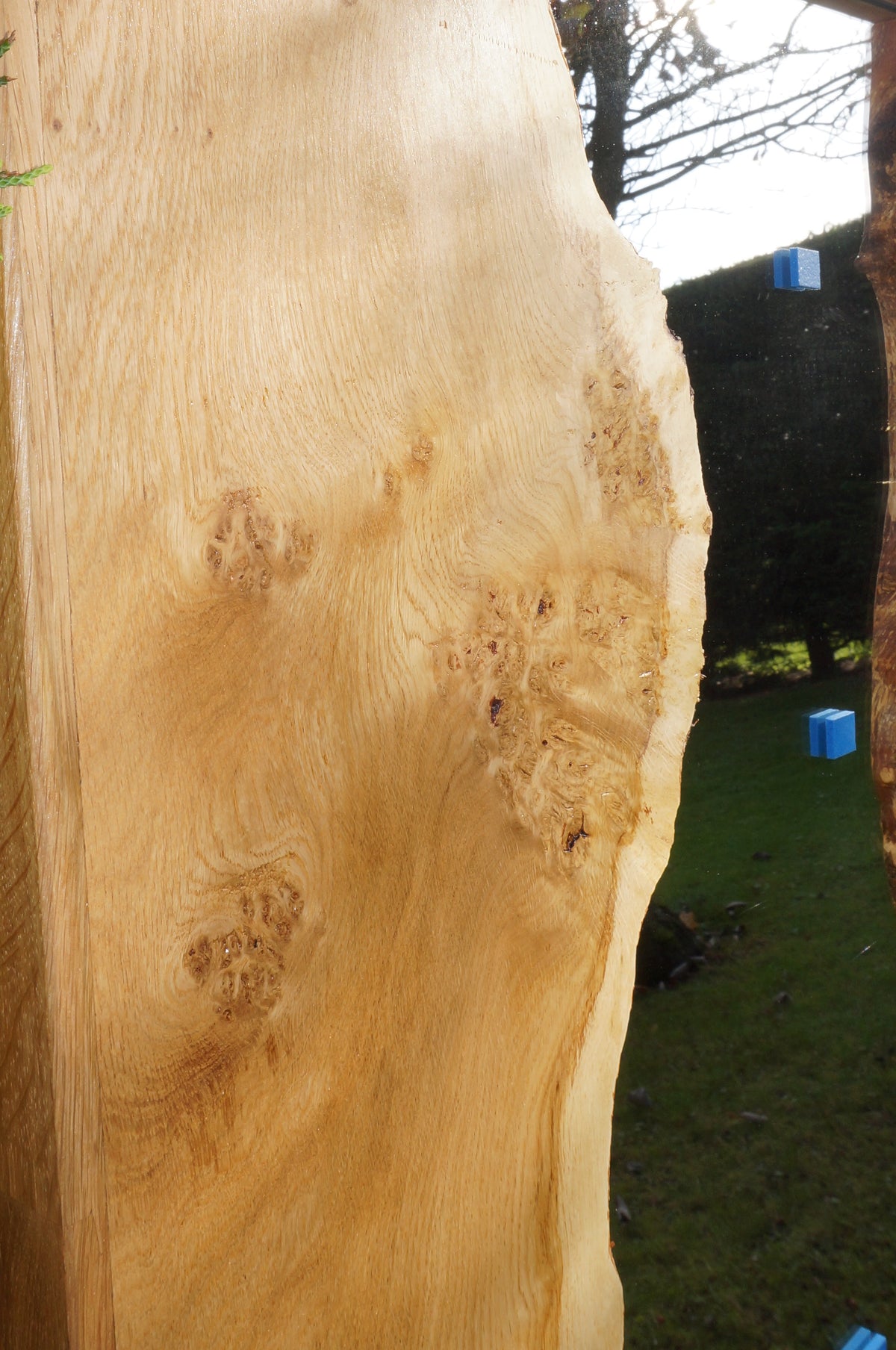 Pippy Oak Mirror (full length)