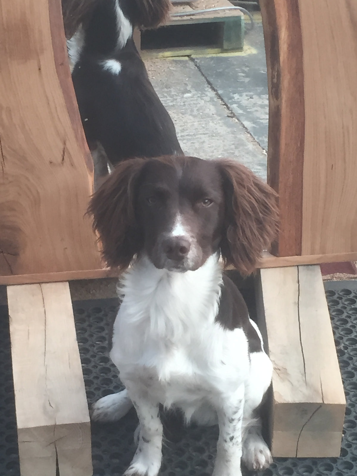 Pippy Oak Mirror (full length)